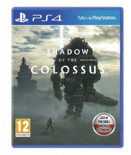 Gra PS4 Shadow of the Colossus PL