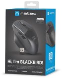Mysz Natec Blackbird 2