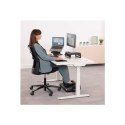 Fellowes Laptop Stand Breyta, black