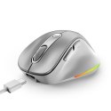 Mysz bezprzewodowa, Genius Ergo 9000S Pro, srebrna, optyczna, 2400DPI