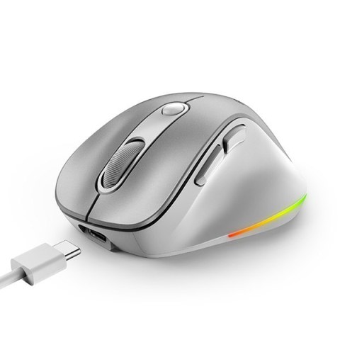 Mysz bezprzewodowa, Genius Ergo 9000S Pro, srebrna, optyczna, 2400DPI