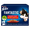 PURINA Felix Fantastic: wiejskie smaki - karma dla kota - 24 x 85g