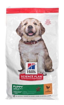 HILL'S Canine Puppy Large Breed - sucha karma dla psa - 14,5kg