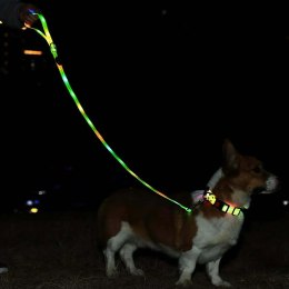 DOGGYVILLAGE SMYCZ Z KOLOROWĄ ILUMINACJĄ LED CZARNA MT7119