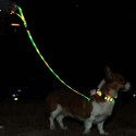 DOGGYVILLAGE SMYCZ Z KOLOROWĄ ILUMINACJĄ LED CZERWONA MT7120