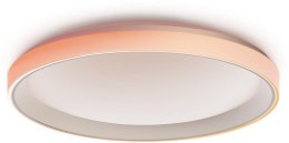 Inteligentna lampa sufitowa Aqara Ceiling Light T1M