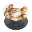 Popsockets 2 Snoozy Cat 70072 uchwyt i podstawka do telefonu - basic