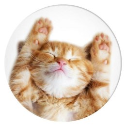 Popsockets 2 Snoozy Cat 70072 uchwyt i podstawka do telefonu - basic