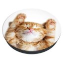 Popsockets 2 Snoozy Cat 70072 uchwyt i podstawka do telefonu - basic