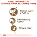 ROYAL CANIN FHN Ageing 12+ w galaretce - mokra karma dla kota starszego - 12x85g