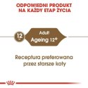 ROYAL CANIN FHN Ageing 12+ w galaretce - mokra karma dla kota starszego - 12x85g