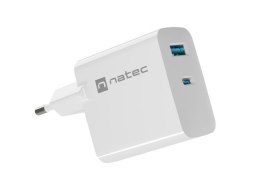 NATEC ŁADOWARKA RIBERA GAN 1X USB-A + 1X USB-C 65W BIAŁA NUC-2144