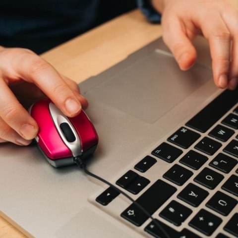 Verbatim Mysz optyczna Go Mini USB-A 1000 dpi różowy/hot pink 49021