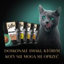 SHEBA Delicacy drobiowe smaki w galarecie- Drób - Mokra karma dla kota - 40x85g