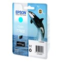 Epson oryginalny ink / tusz C13T76024010, T7602, cyan, 25,9ml, 1szt, Epson SureColor SC-P600