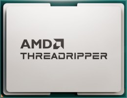 Procesor AMD Threadripper 7960X 100-000001352 OEM