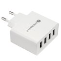 Ładowarka sieciowa 4x USB 5A Iq smart charging Biała