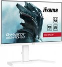 Monitor 24 cale GB2470HSU-W6 0.2ms, IPS, DP, HDMI, 180Hz, 300cd