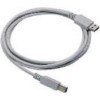 Cable, USB, Type A, Straight, CAB-438, 6.5 ft.