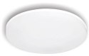 LEDURO 95317 oświetlenie sufitowe LED 20 W F