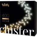 Inteligentne lampki Twinkly Cluster- 400 Led 5x07m