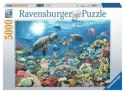 Puzzle 5000el Głębia Oceanu 174263 Ravensburger