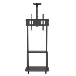 Uchwyt do TV TECHLY ICA-TR33 (nośność 60kg \32 - 70 cali)