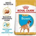 ROYAL CANIN BHN Boxer Puppy - sucha karma dla szczeniąt rasy boxer - 12 kg