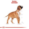 ROYAL CANIN BHN Boxer Puppy - sucha karma dla szczeniąt rasy boxer - 12 kg