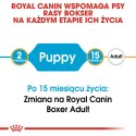 ROYAL CANIN BHN Boxer Puppy - sucha karma dla szczeniąt rasy boxer - 12 kg