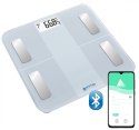 Waga łazienkowa bluetooth ORO SCALE BLUETTOTH WHITE