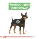 ROYAL CANIN Mini Digestive Care - karma sucha dla psów dorosłych ras małych - 1kg