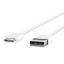 Kabel USB BELKIN USB typ C 2