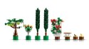 LEGO ICONS 10359