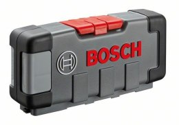 Bosch 2 607 010 905 wyrzynarka, piła wyrzynarkowa oraz ostrze do piły tarczowej Ostrze wyrzynarki 10 szt.