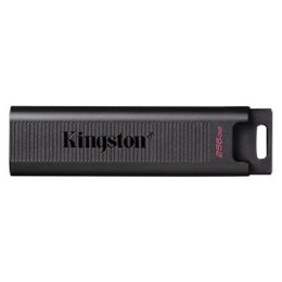 Pendrive KINGSTON DTMAX/256GB (256 GB /Czarny )