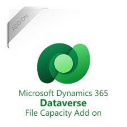 Dataverse File Capacity add-on