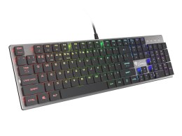 GENESIS Thor 420 RGB klawiatura Gaming USB AZERTY US English Srebrny