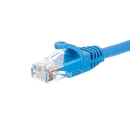 NETRACK CAT5e UTP 0.25 m Niebieski 0.25 Patchcord