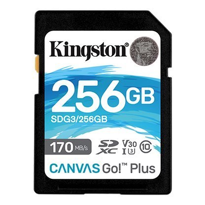 Kingston | Canvas Go! Plus | 256 GB | Pamięć flash klasy 10