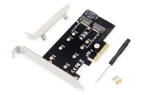 Karta rozszerzeń (Kontroler) DIGITUS M.2 NGFF/NVMe SSD PCIe 3.0 SATA 80, 60, 42, 30 mm