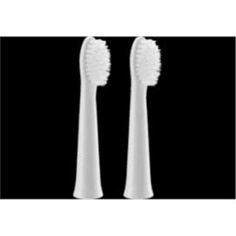 Panasonic | WEW0972W503 | Brush Head | Heads | For adults | Number of brush heads included 2 | Number of teeth brushing modes Do