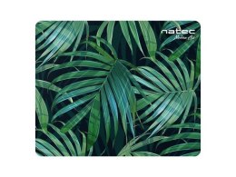 Podkładka pod mysz FOTO Natec Modern Art - Palm tree 220x180mm 10-Pack