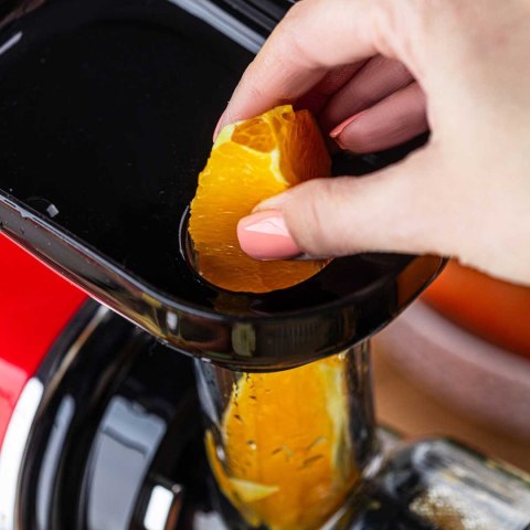 SOKOWIRÓWKA WYCISKARKA WOLNOOBROTOWA KLAUSBERG KB-7870