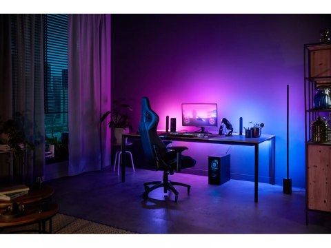Philips Hue Gradient PC Lightstrip 32-34" Starter kit|19 W