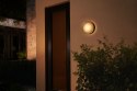 Philips Hue WCA Daylo Outdoor Wall Lantern, Inox | Philips Hue