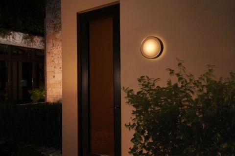Philips Hue WCA Daylo Outdoor Wall Lantern, Inox | Philips Hue