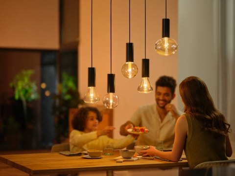 Philips Hue WCA Lightguide G125 E27 | Philips Hue