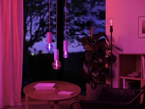 Philips Hue WCA Lightguide G95 E27 | Philips Hue