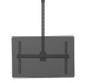 Neomounts CL35-440BL16XL Monitor/TV mount ceiling 1 screen - 37-70" - max 50 kg - VESA 200x200-600x400 - h 250-300 cm - black